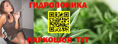скорость Можга