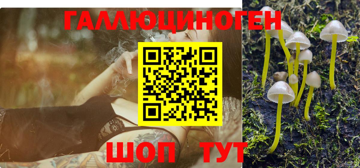 Дальнереченск  Галлюциногенные грибы Psilocybe  Вход с VPN 